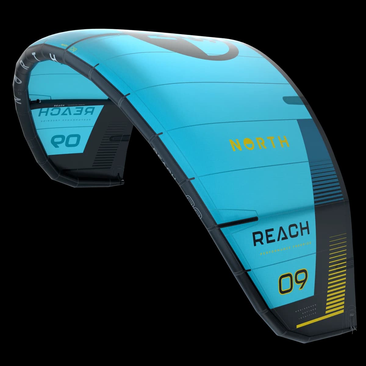 Reach Kite